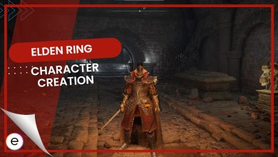 Elden Ring Character Creation