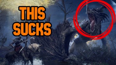 Dragon Fights In Elden Ring Are Annoying (via FromSoftware).